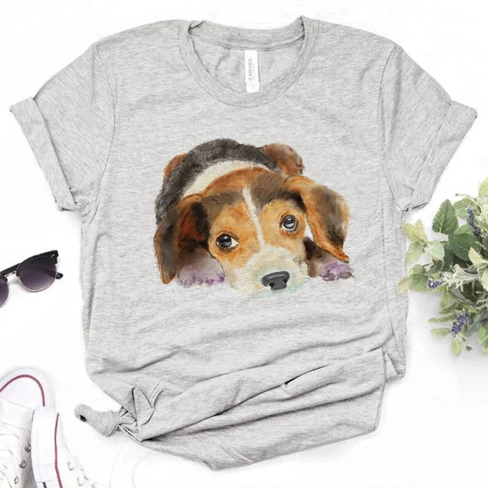 Beagle